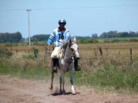 IMG_0327 (10)
