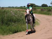 IMG_0327 (106)