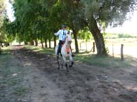 IMG_0327 (16)