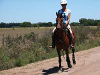 IMG_0327 (2)