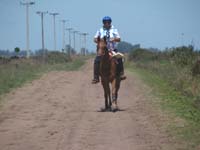 IMG_0327 (4)
