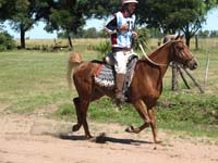 IMG_0327 (42)