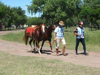 IMG_0327 (48)