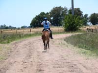 IMG_0327 (6)