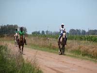 IMG_0327 (75)