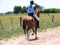 IMG_0327 (8)
