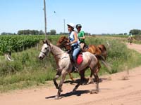 IMG_0327 (80)