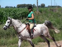 IMG_0327 (83)