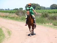 IMG_0327 (87)