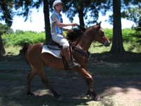 IMG_0401