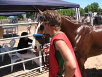 IMG_0217