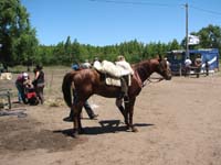 IMG_0239