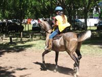 IMG_0052