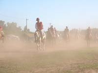 IMG_0042