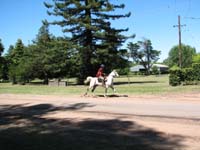 IMG_0001