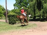 IMG_0004