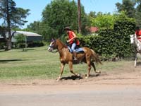IMG_0009