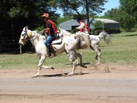 IMG_0012