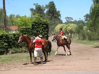 IMG_0016