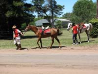 IMG_0018