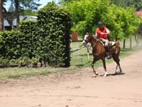 IMG_0030