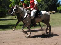 IMG_0052