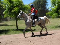 IMG_0058