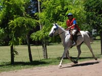 IMG_0063