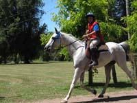 IMG_0064