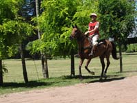 IMG_0068