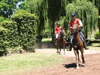 IMG_0081
