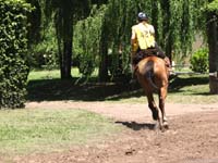 IMG_0120