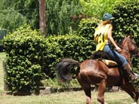 IMG_0139