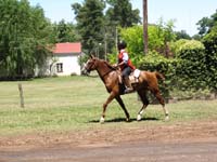 IMG_0144