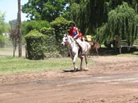IMG_0158