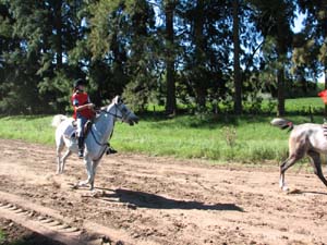IMG_2271