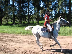 IMG_2272