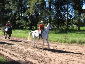 IMG_2282