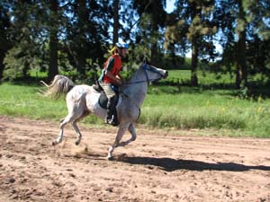 IMG_2307