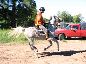IMG_2314
