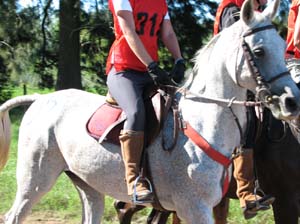 IMG_2321