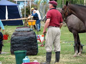 IMG_2567