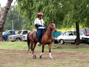 IMG_2661