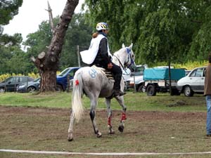 IMG_2668