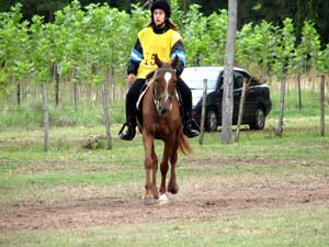 IMG_2722
