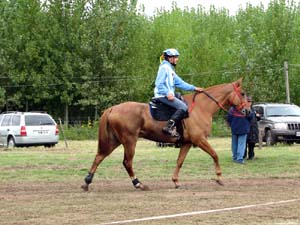 IMG_2725