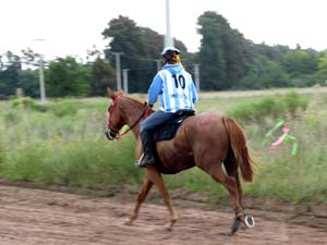 IMG_2778