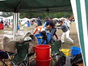 IMG_2798