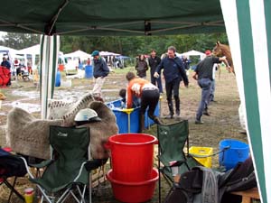 IMG_2800
