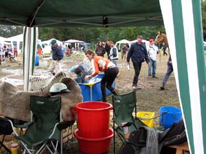 IMG_2801